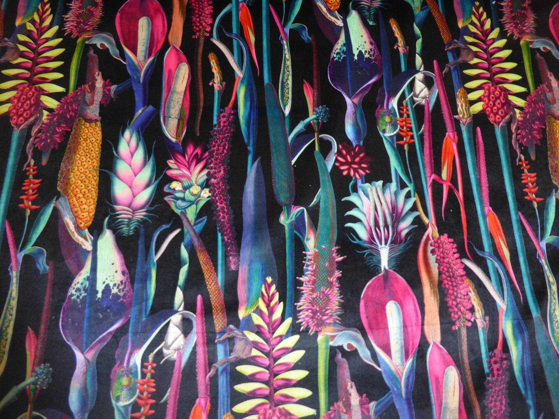 Tropical Hummingbirds Black Botanical Curtain Upholstery Cushion Velvet Fabric 