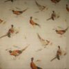 Pheasant by Fryetts 3