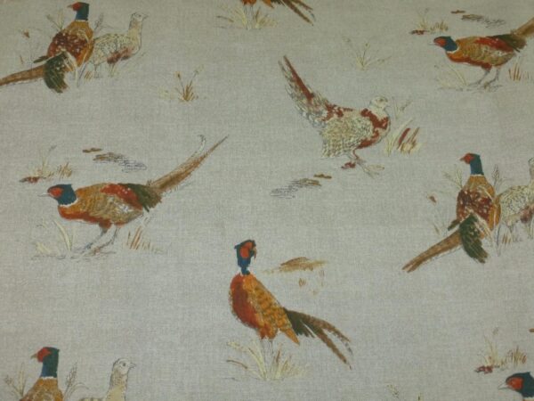 Pheasant by Fryetts