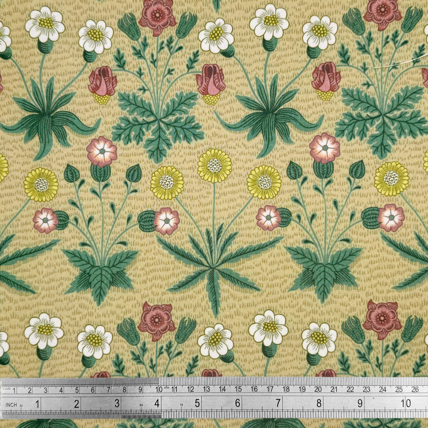 COD063 Daisy Putty 2