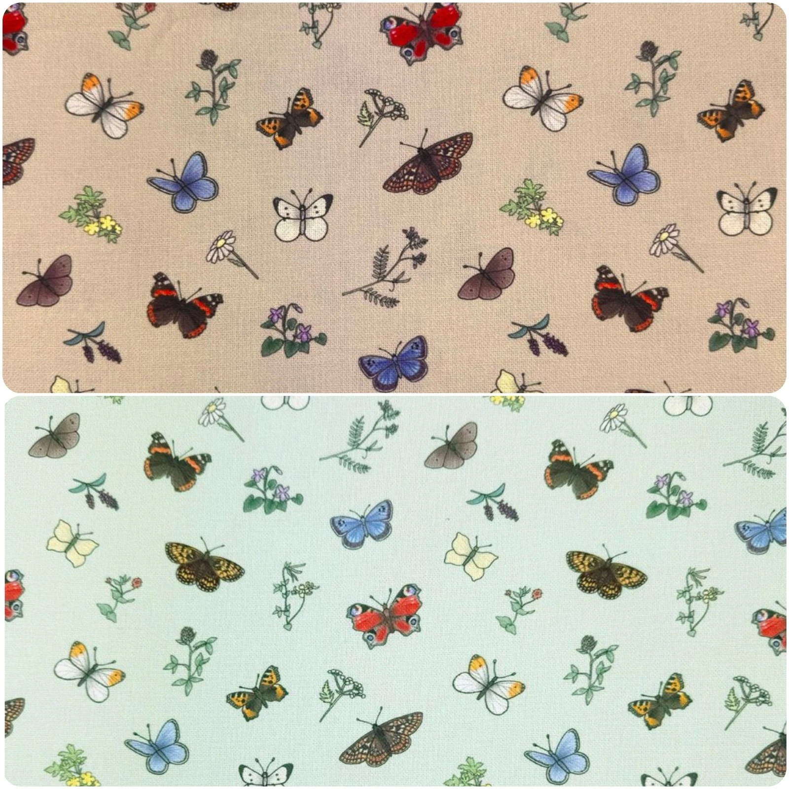 Flutter and Fern by Emma Lawrence Cotton Fabric